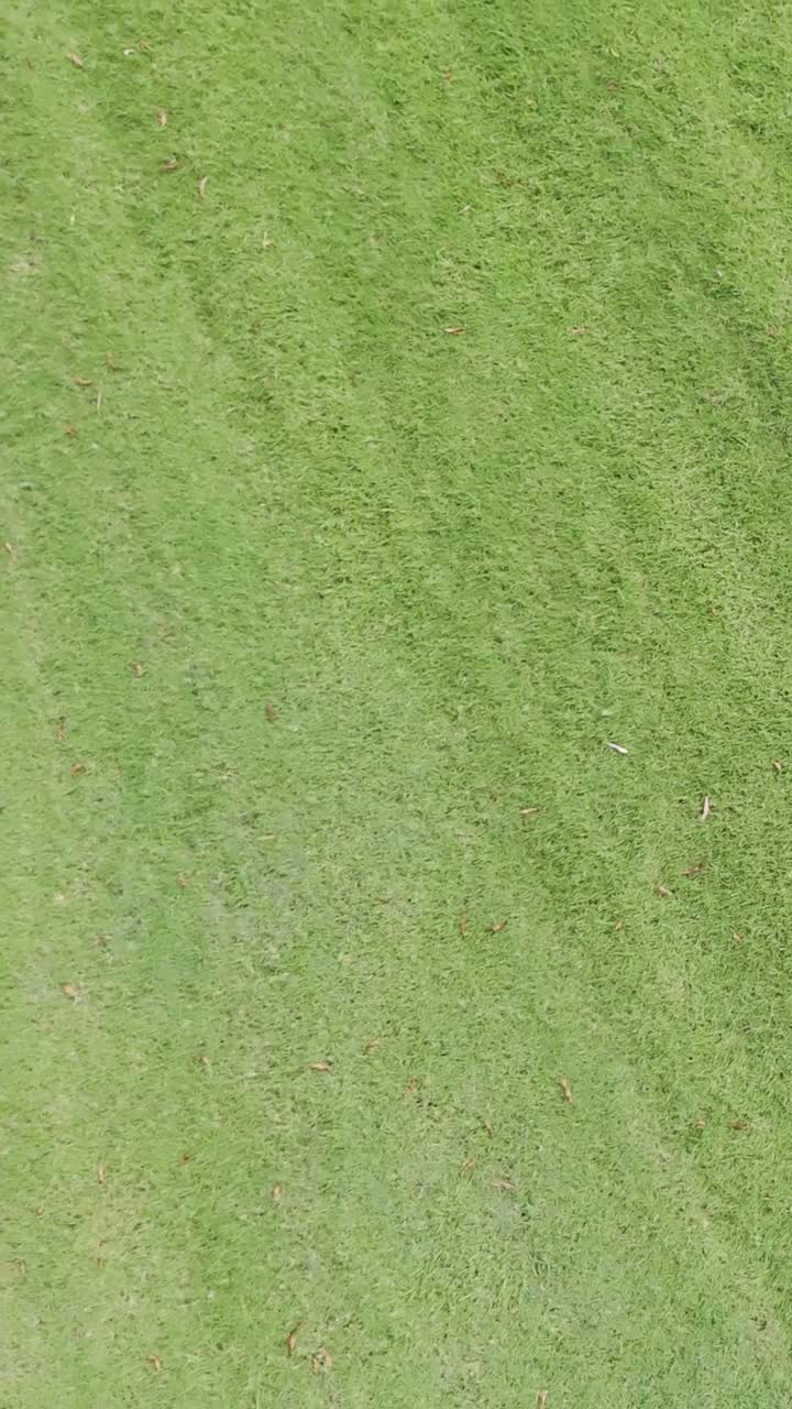 imágenes aéreas de una pista de carreras verde