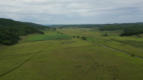 Abgelegene-Insel-Landwirtschaft-Jamaikanisch-Felder-Hawaii