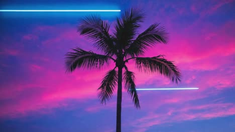 palm tree silhouette against a neon sunset