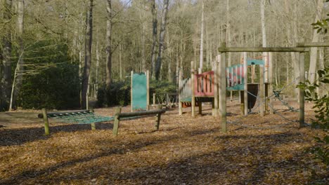 panning across autumn norfolk heritage park woodland climbing playground equipment with fallen leaves