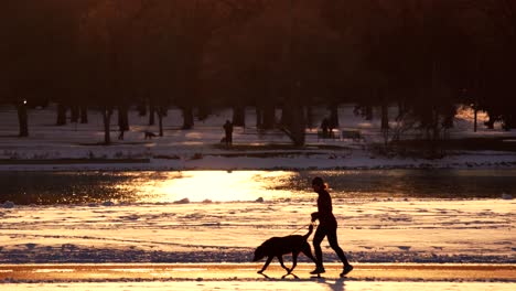 woman running with her dog in park against a background of warm light
