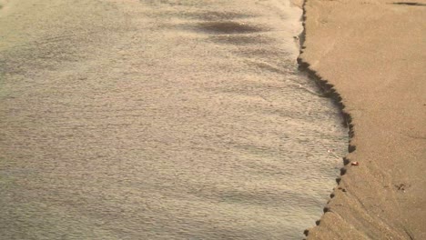 4K-coastal-sand-erosion-on-beach-after-heavy-rain-as-water-carved-her-way-Into-the-ocean