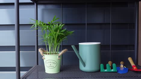 green plant, watering can, and gardening tools on metal shelf