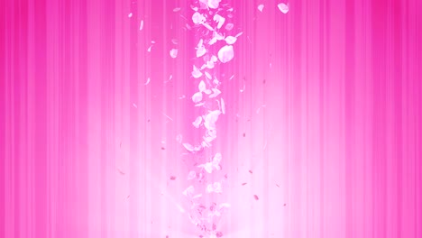 spiral shiny particle of cherry blossoms. sakura pattern. japanese cherry dancing. vortex from pink petals. abstract loop animation.