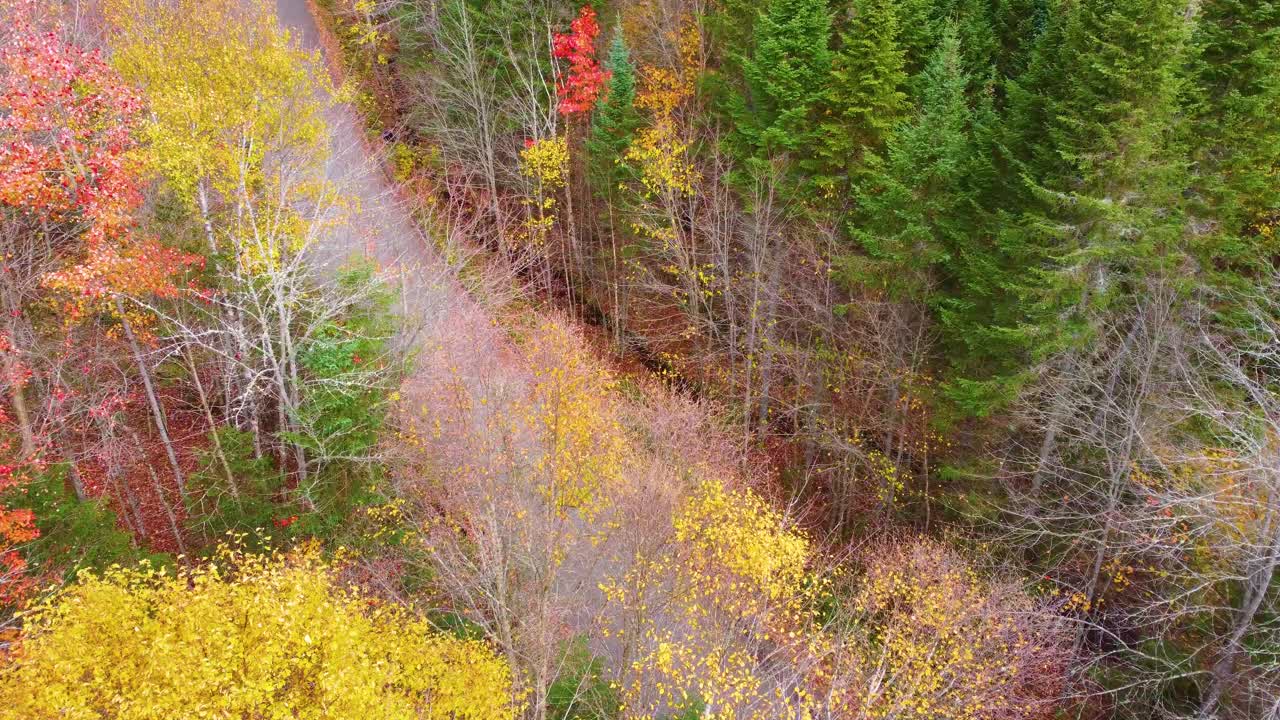 Canadian autumn forest with winding road, aerial drone view