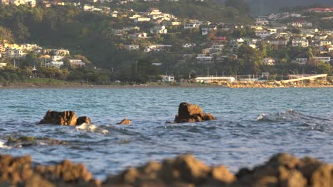 Plimmerton-Neuseeland-Küste