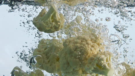 cut cauliflower fall water in super slow motion close up. cabbage into liquid.