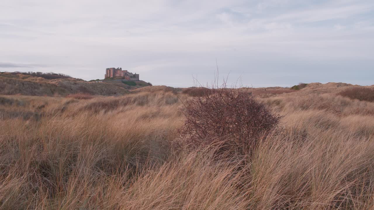 вид замка бамбург на расстоянии с катящимися песчаными дюнами, покрытыми густой травой маррама на переднем плане, через прибрежные песчаные дюны нортумберленда