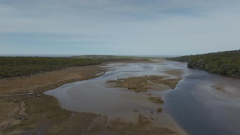 Estuario-Del-Río-Tautuku-Con-Agua-Salobre-Marrón-En-Ecotono-De-Nueva-Zelanda,-Antena