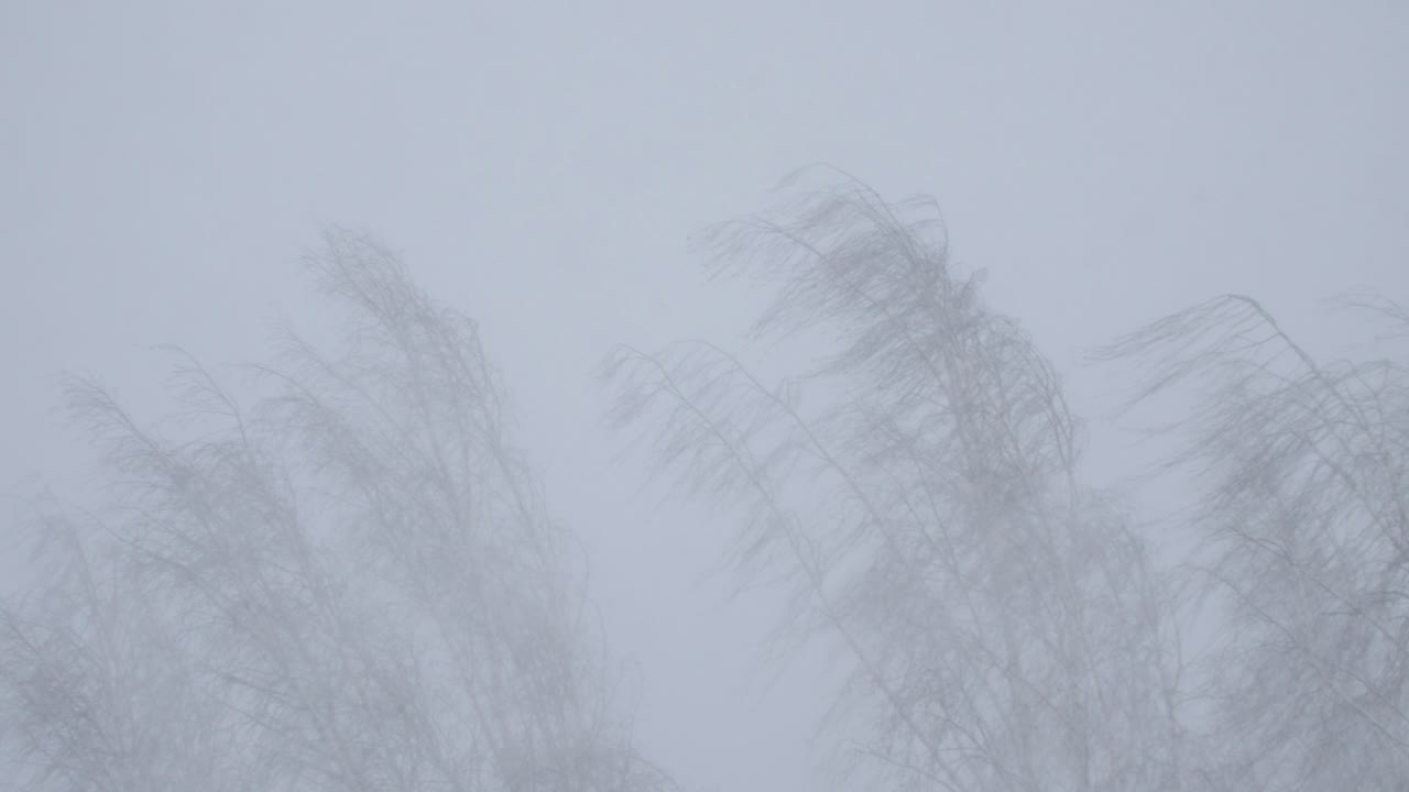 눈보라를 동반한 강한 폭풍