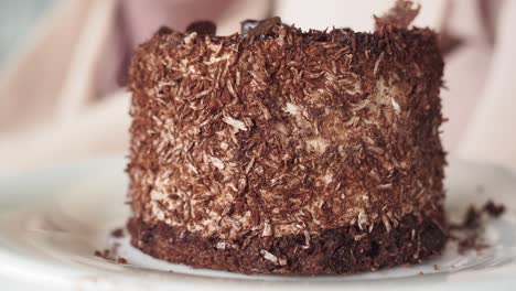 person eating a chocolate cake