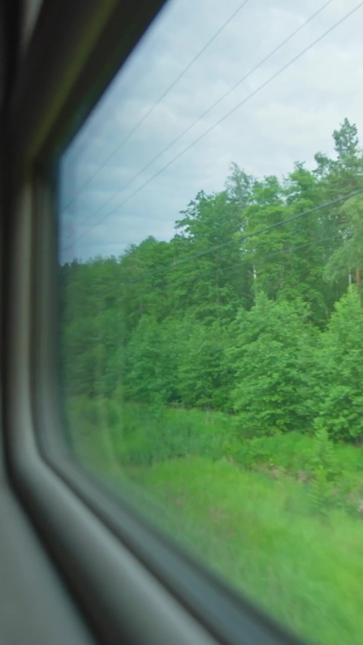 View from a Train Window Passing Through a Green Forest