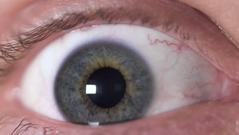 close-up of a human eye