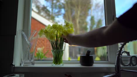 narcisos hombre pone jarrón de flores en la ventana amarillo primavera feliz esperanzado