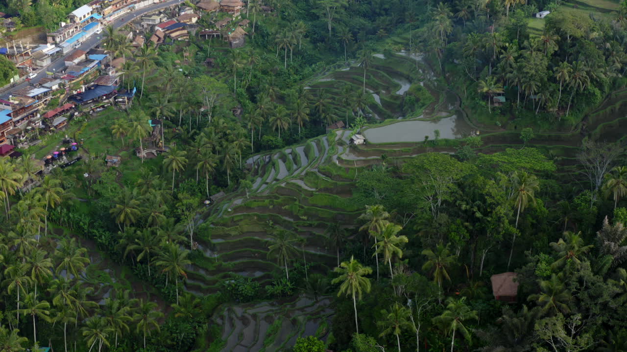 Villaggio di Ubud e terrazze di riso di Tegallalang a Bali, lunga ripresa aerea.