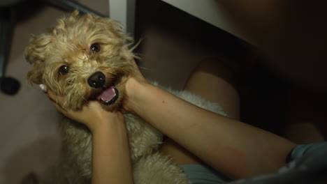 dog feels comfortable being licking his master's hand