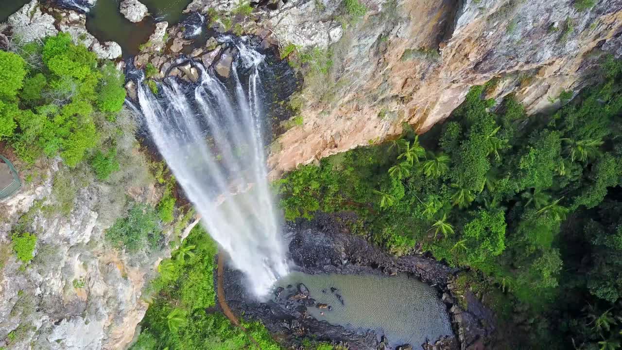 un dron captura una vista aérea del agua que fluye sobre la pared rocosa y los árboles verdes circundantes en las cataratas de purling brook en el parque nacional springbrook en australia.