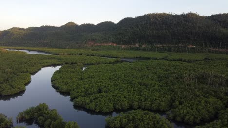 colinas aéreas, siempre verdes envueltas en vegetación, sinuosas curvas del río maasin que fluye a través de pantanos de bosques de manglares y cocoteros, siargao - filipinas