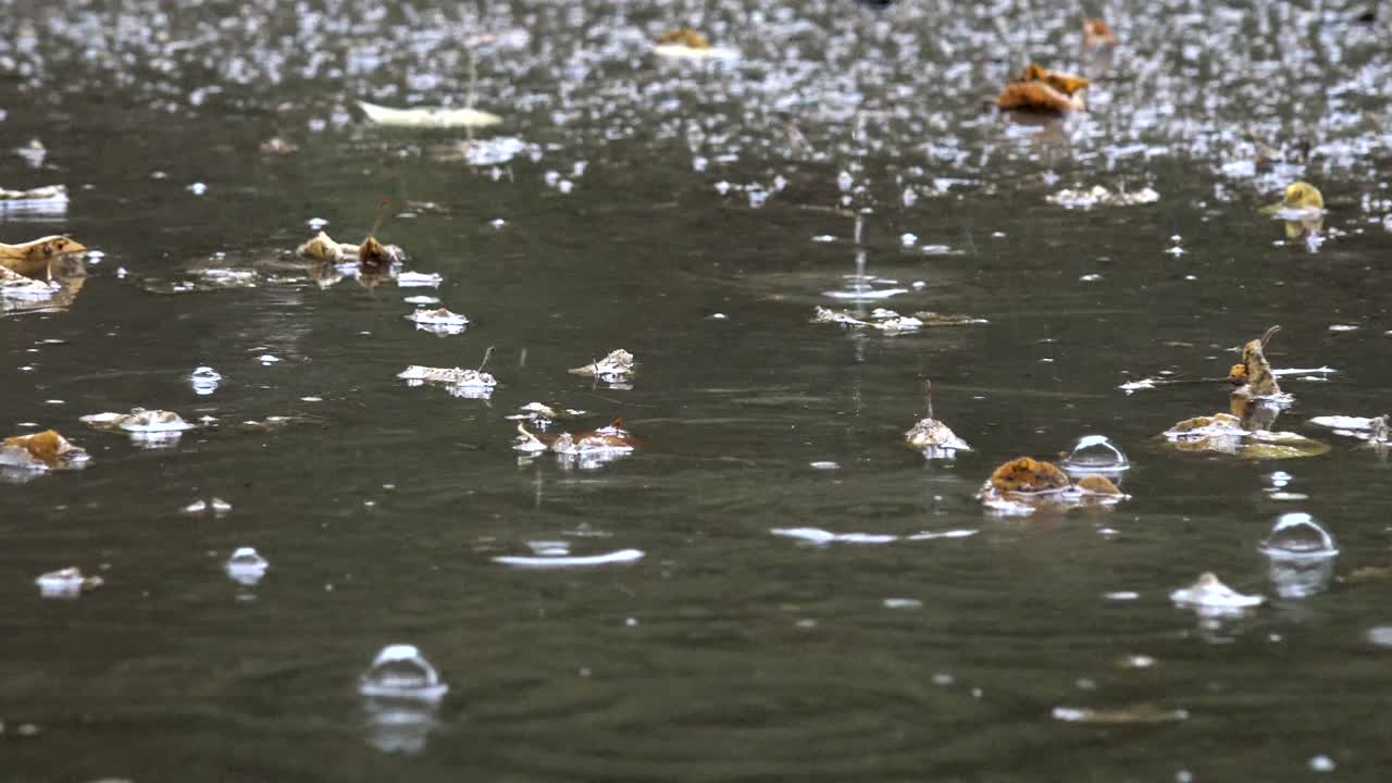 물의 웅이와 비가 내리면 큰 공기 거품을 형성하여 떨어집니다.