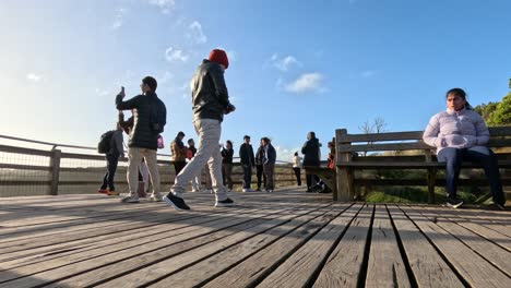 people enjoying the scenic coastal view