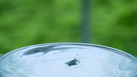 droplets of water hitting the surface of crystal-clear water in a transparent glass cup on a blurry background