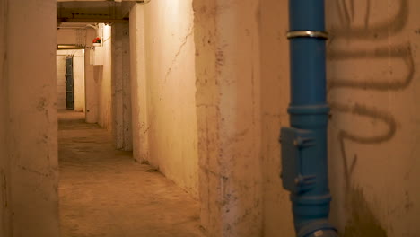 Revealed-An-Empty-Grunge-Walkway-Inside-The-House-Basement