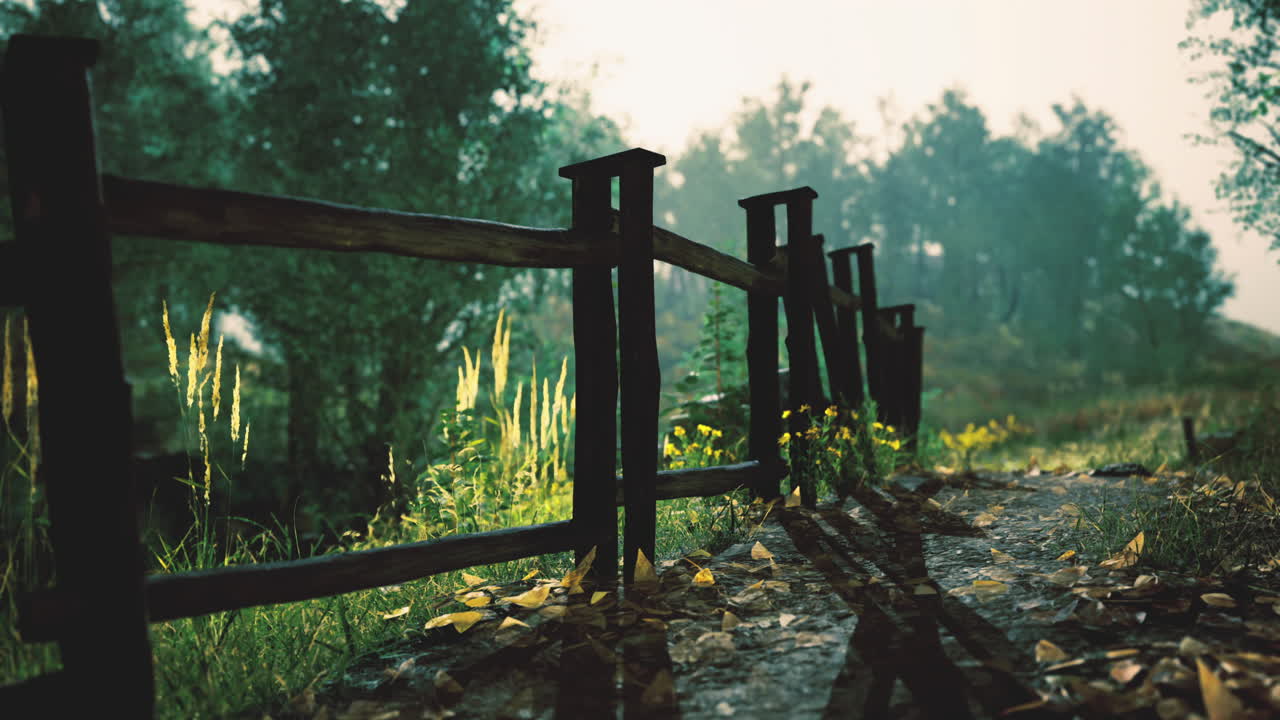 Lush greenery softens the rustic charm of a wooden fence at dawn