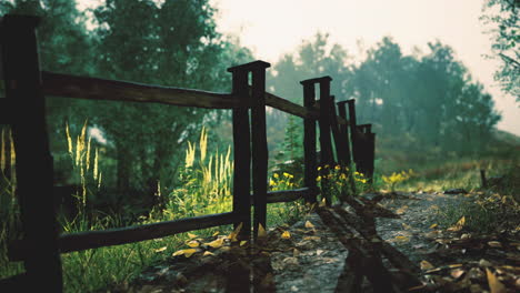 lush greenery softens the rustic charm of a wooden fence at dawn