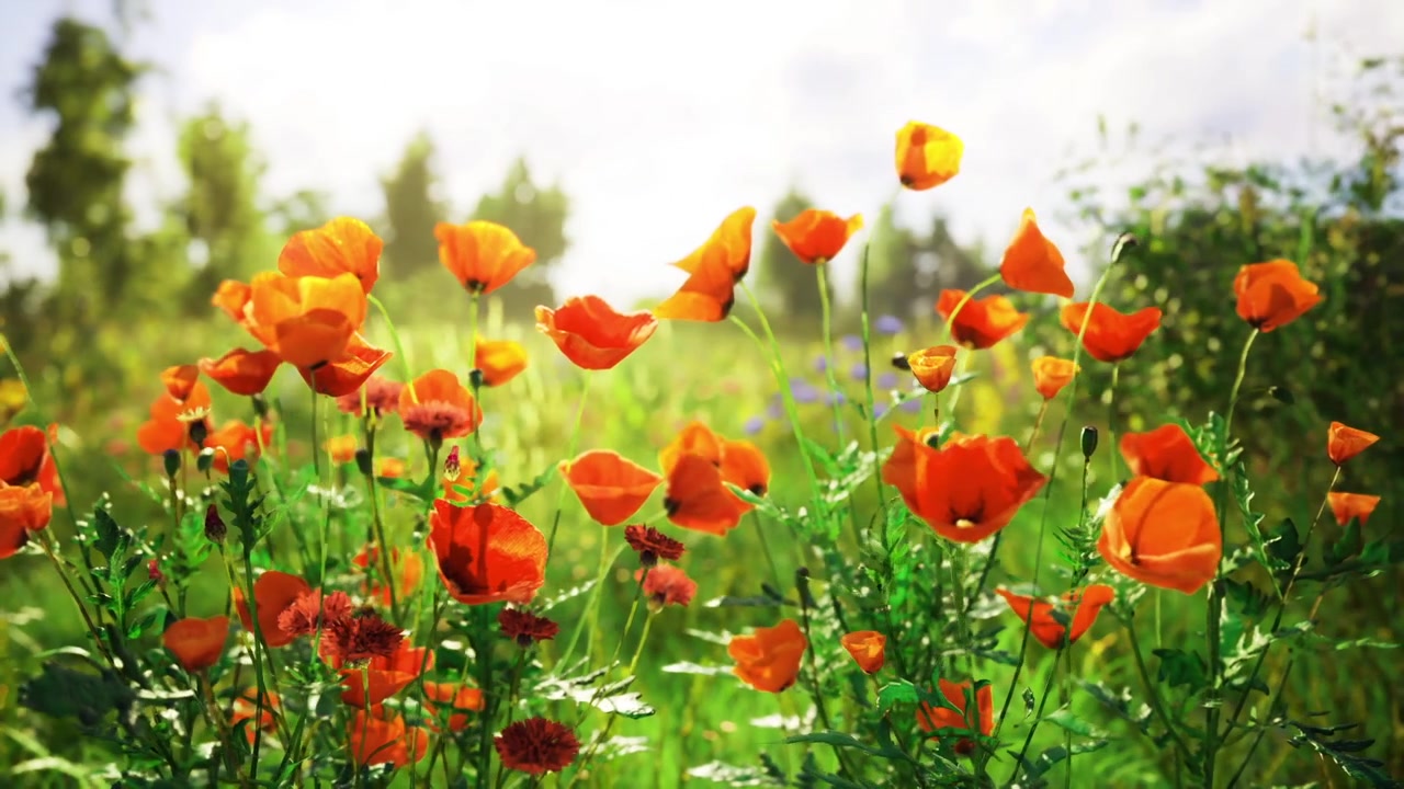 Immagine ad alta risoluzione che evidenzia petali delicati e sacche naturali di polline
