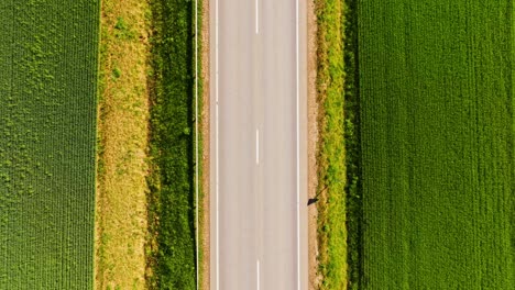 aerial static timelapse with low shutter speed shows motion blur on rural road