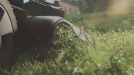 lawn mower cutting grass