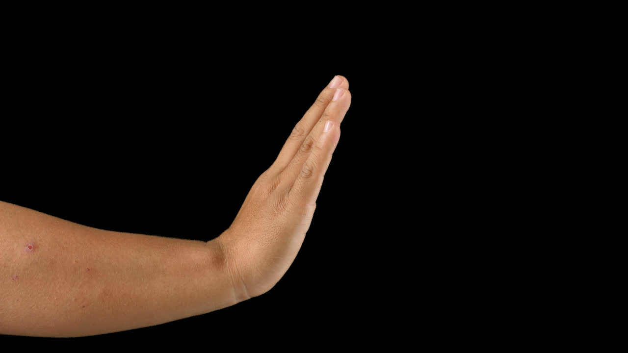 손을 보여주는 멈추기 제스처