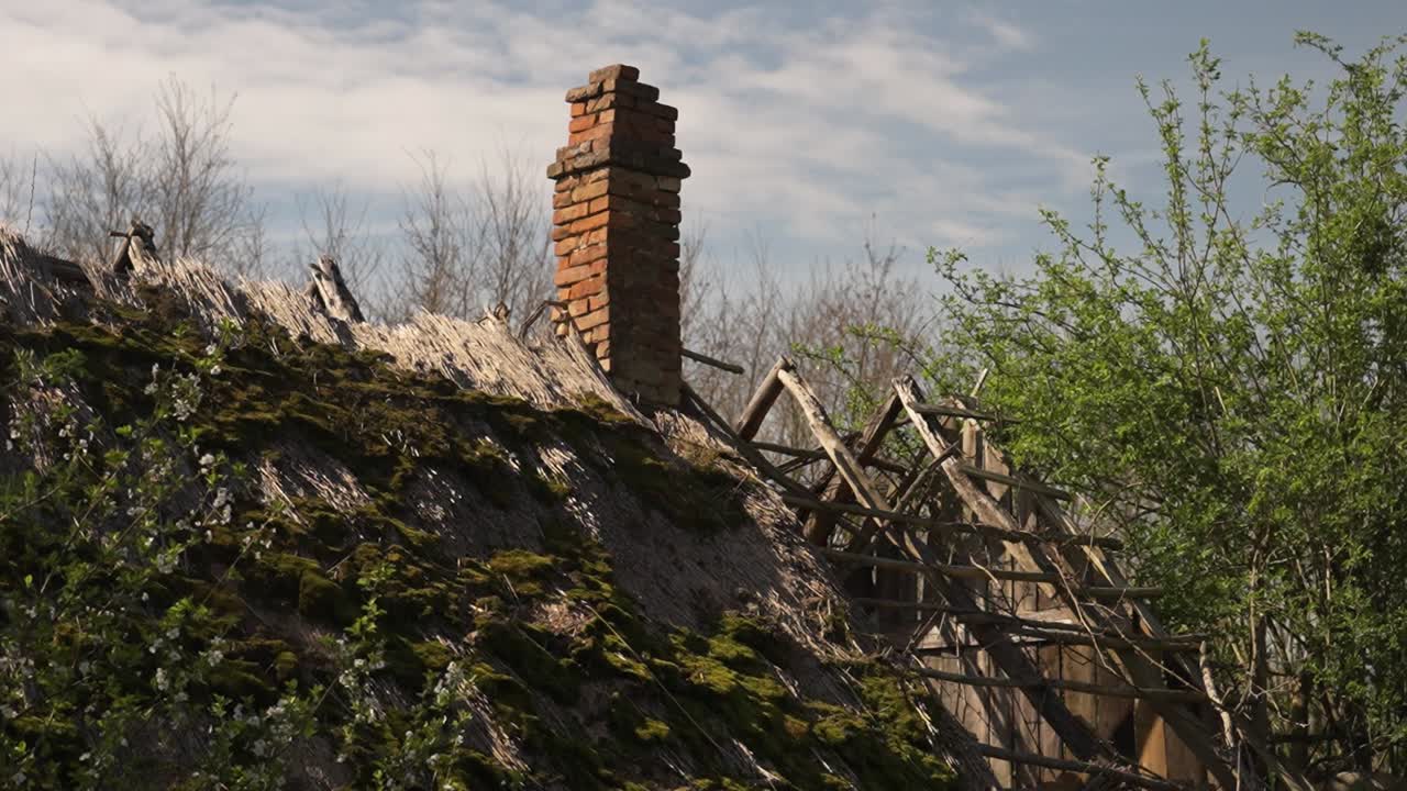 Old thatched roof covered in moss with exposed brick chimney