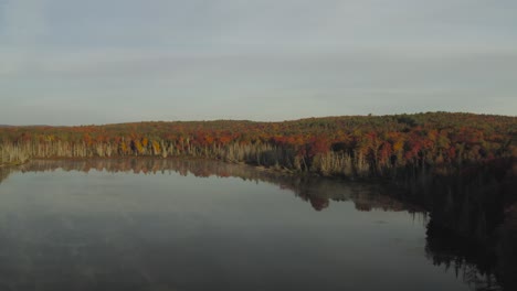 Flying-over-a-misty-lake-towards-an-endless-forest-of-fall-colors-AERIAL