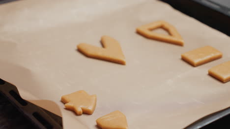 close-up of baker placing shaped cookie dough on parchment paper to bake, ready for oven, preparing cookies in cozy kitchen environment