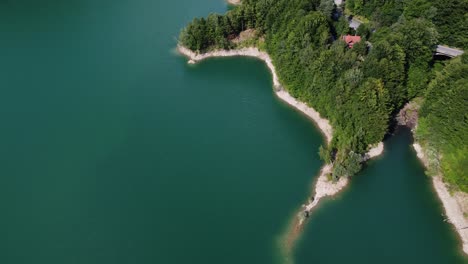 aerial overhead orbit shot of the forest meeting the turquoise lake of paltinu from doftana valley in romania