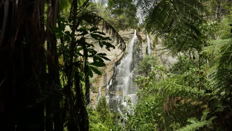 Revelación-Cinematográfica-De-Follaje-Exuberante-Y-Cascada-De-Shine-Falls-En-Nueva-Zelanda