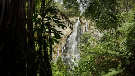 revelación cinematográfica de follaje exuberante y cascada de shine falls en nueva zelanda