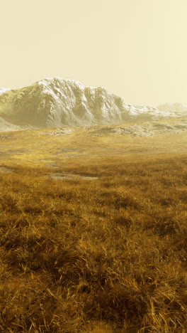 schneebedeckte berge mit blick auf ein grasbewachsenes feld