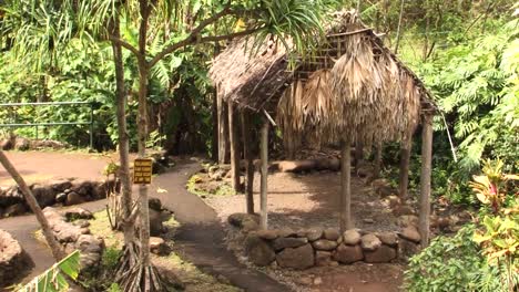 cabaña de madera, parque estatal del valle de iao, hawaii