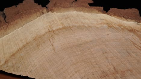 structure of a stump fibre and bark from a saw cut tree trunk. plant based biomass material used as fuel. close up view of fiber and cork texture of real wooden tree cross cut. organic background.