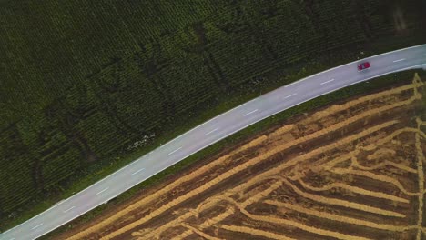 Draufsicht-Von-Einer-Drohne-Auf-Ein-Fahrendes-Rotes-Auto-Entlang-Einer-Straße-Von-Rechts-Nach-Links-Mit-Landwirtschaftlichen-Feldern-Neben-Der-Straße