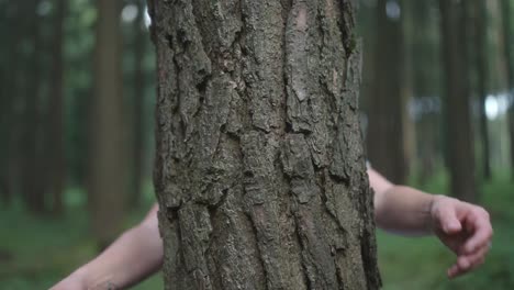 hands hugging a tree in the forest