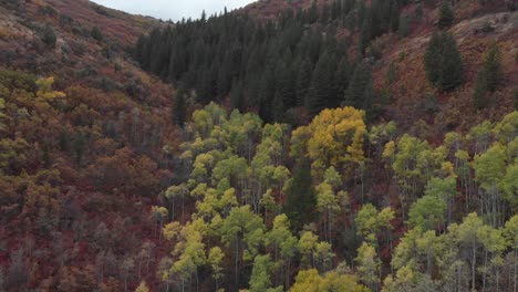 Drone-footage-of-fall-colors-in-the-mountains