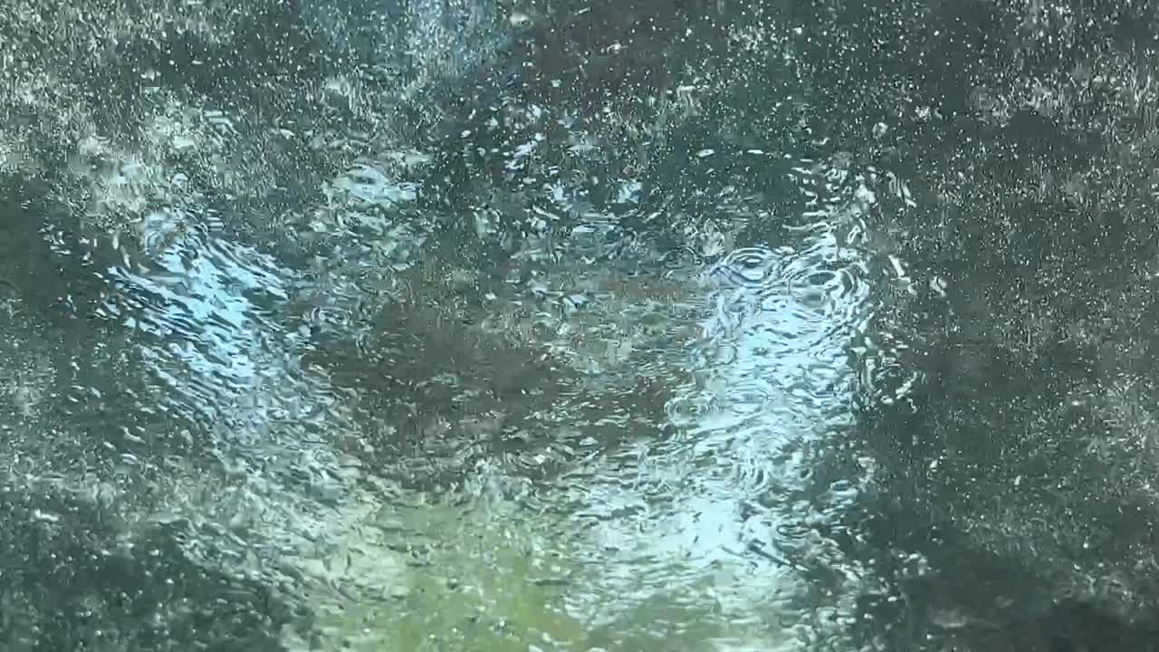 드라이브 스루 익스프레스 자동차 세척