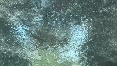 drive thru express car wash