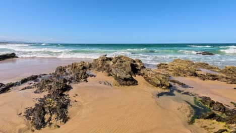 seagulls and waves on a rocky beach