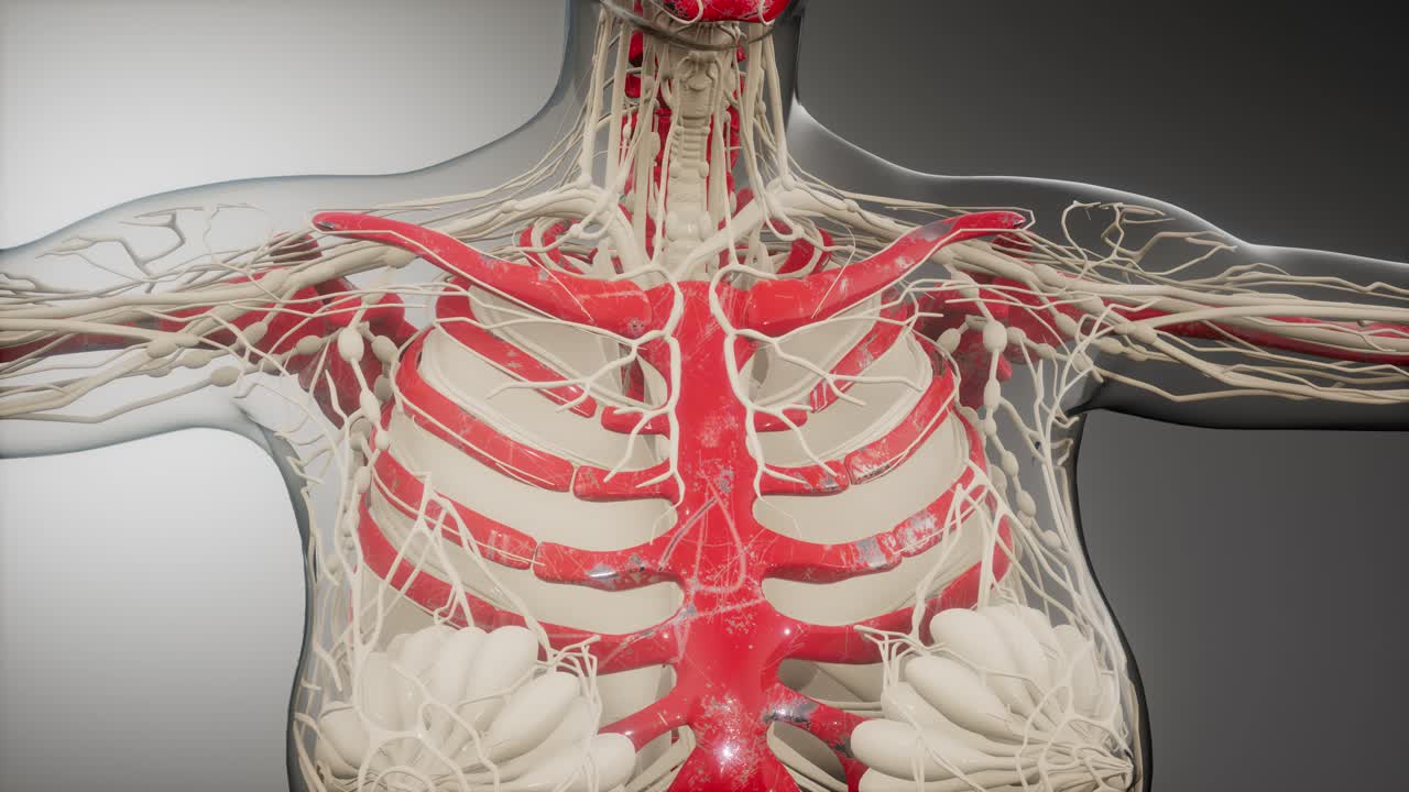 눈에 띄는  ⁇ 가 있는 투명한 인간 몸