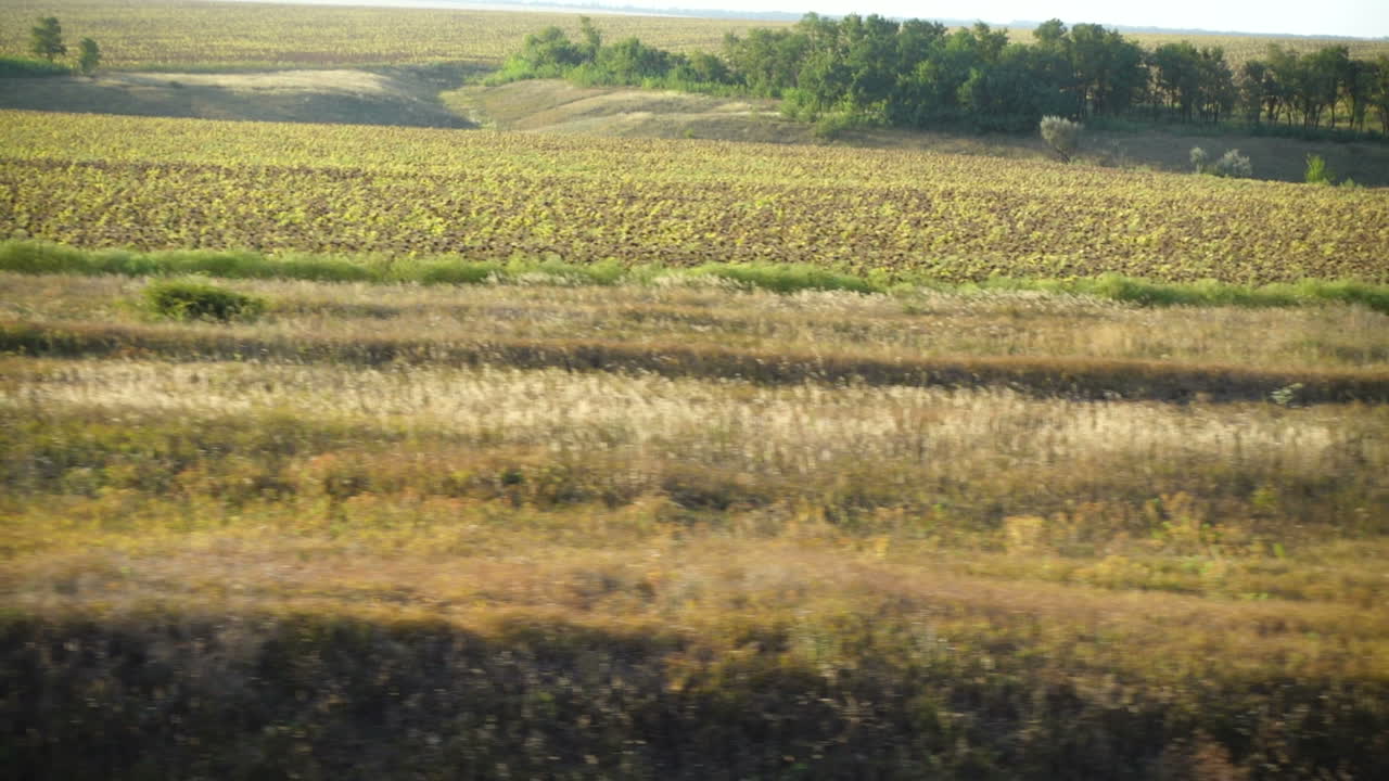 Agricultural fields. Shooting in the movement
