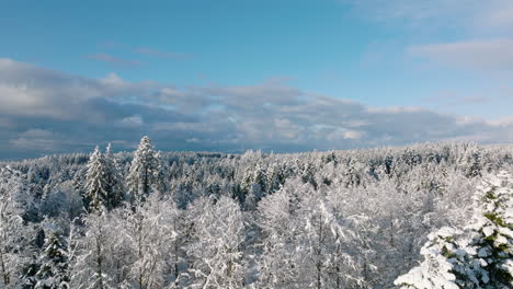 snow-covered coniferous forest during winter in jorat, lausanne, vaud, switzerland - aerial drone shot